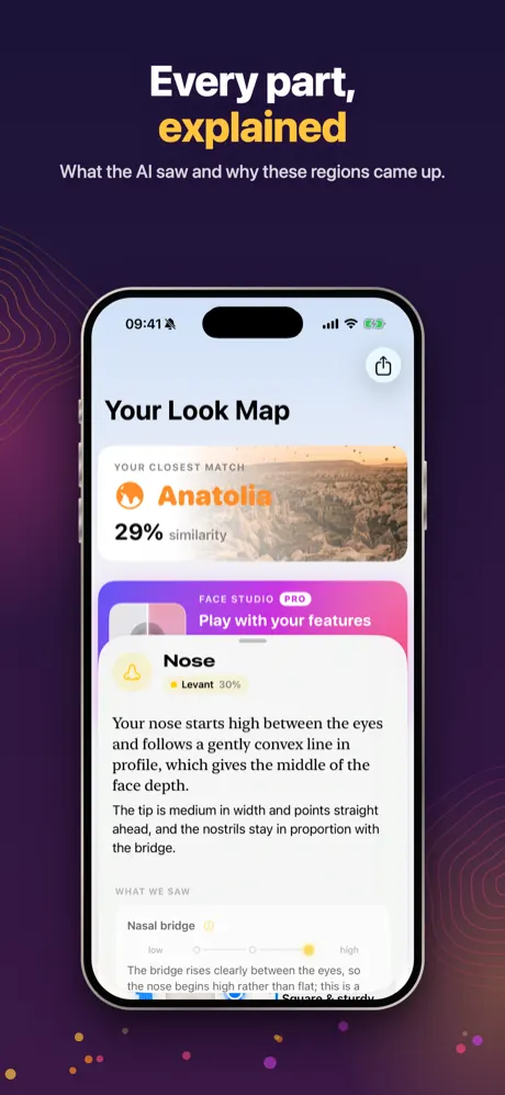 Nose write-up: what the AI saw and why these regions came up