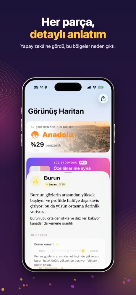 Burun anlatımı: yapay zekâ ne gördü, bu bölgeler neden çıktı
